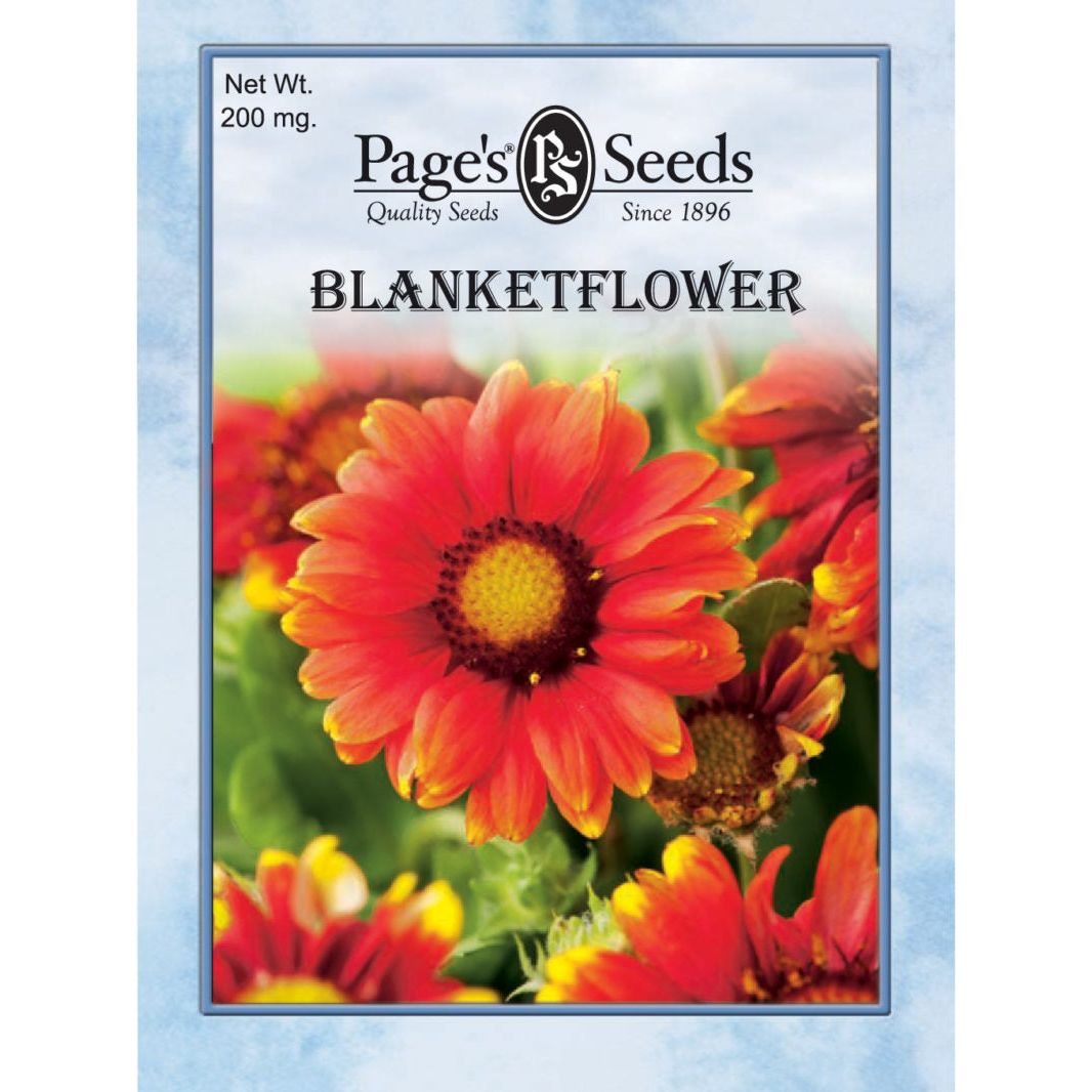Blanket Flower Seed - 1 Packet - Seed World
