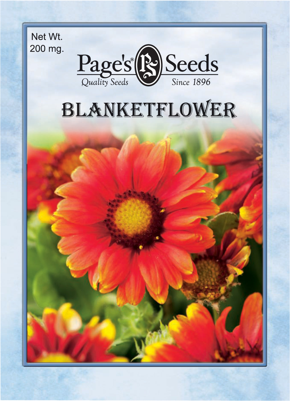 Blanketflower Seeds - 1 Packet - Seed World