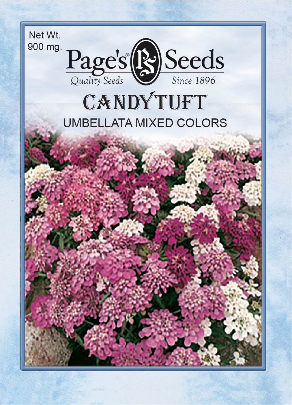 Candytuft, Umbellata Mixed Colors - 1 Packet - Seed World