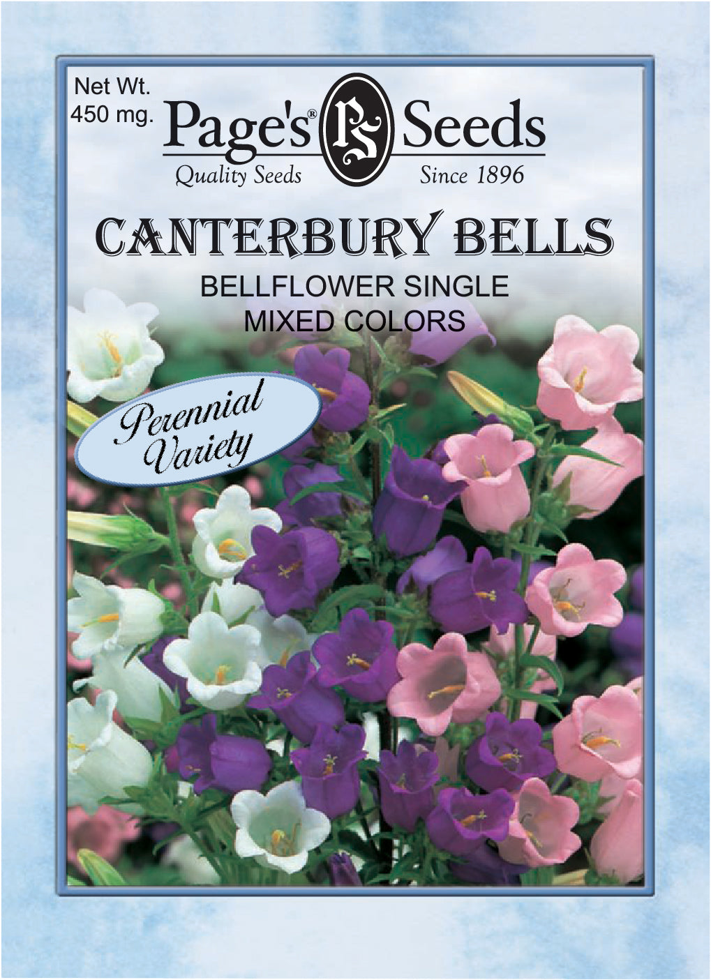 Canterberry Bell Flower, Single Mixed Colors - 1 Packet - Seed World