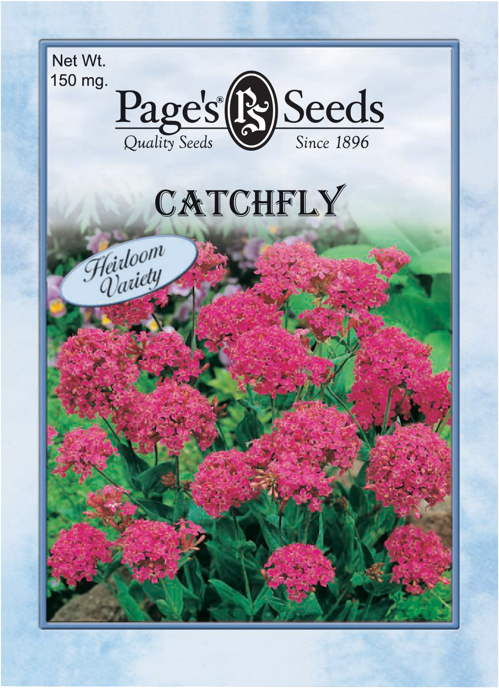 Catchfly Seeds - 1 Packet - Seed World