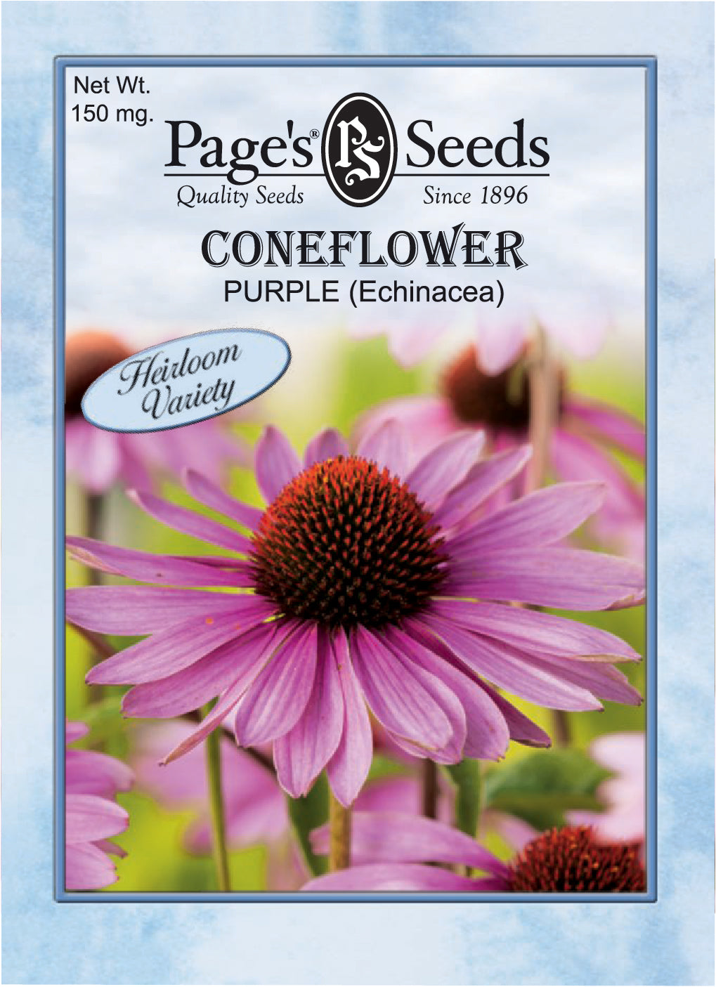 Purple Coneflower Seeds - 1 Packet - Seed World
