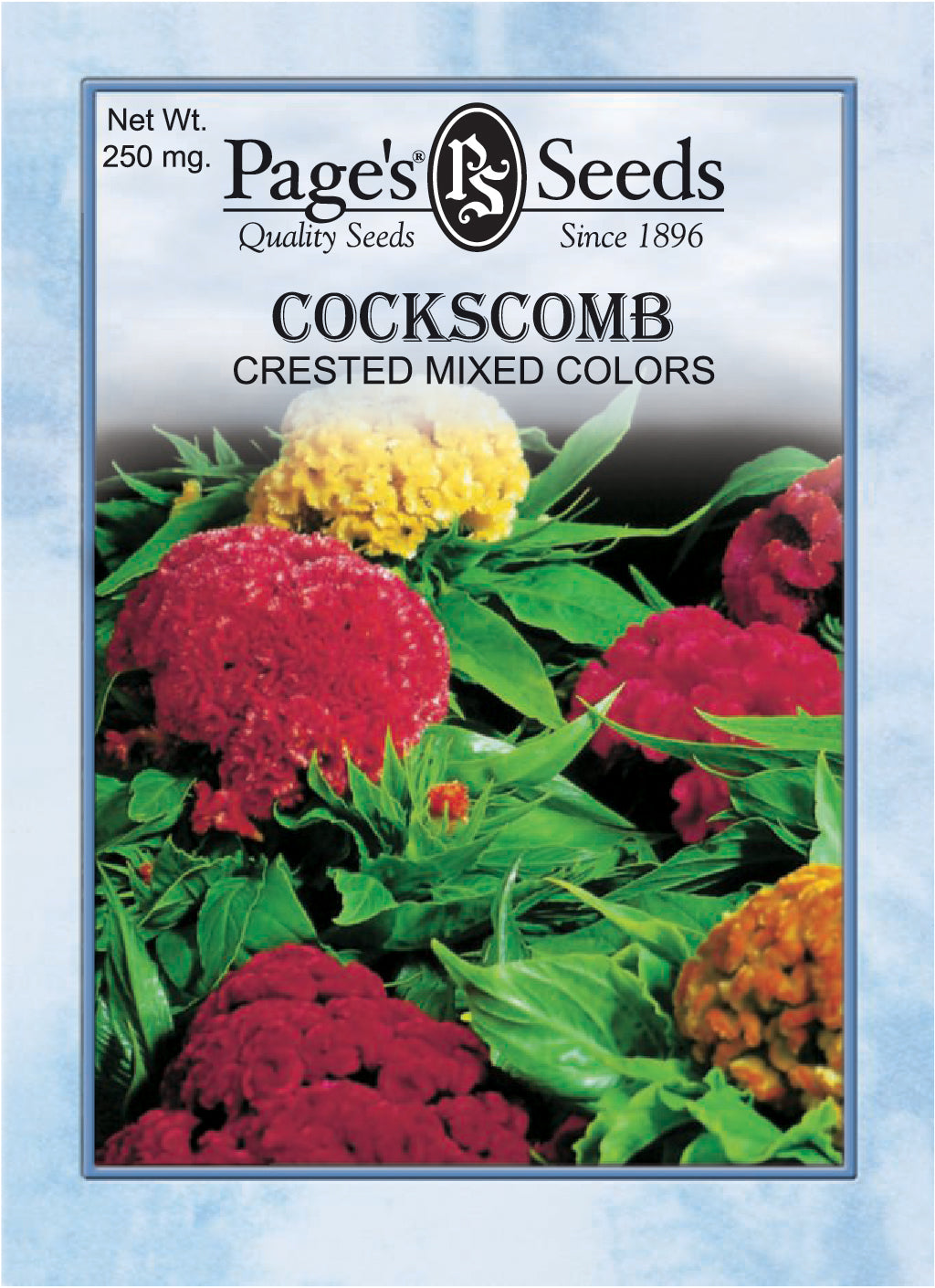 Cockscomb, Crested Mix Seeds - 1 Packet - Seed World