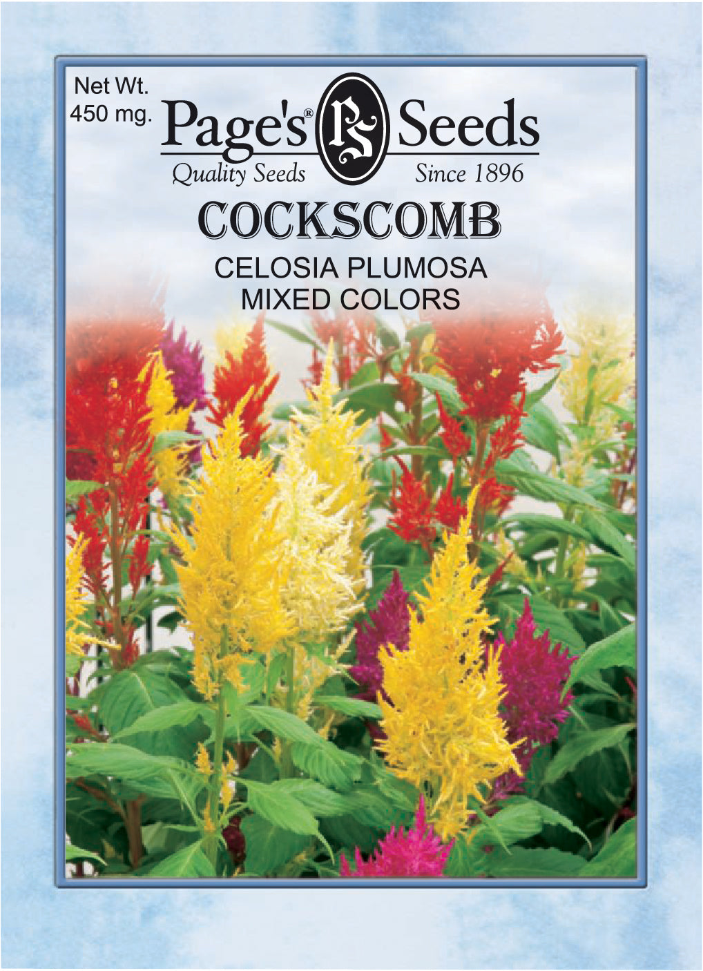 Cockscomb, Plumosa Mixed Seeds - 1 Packet - Seed World