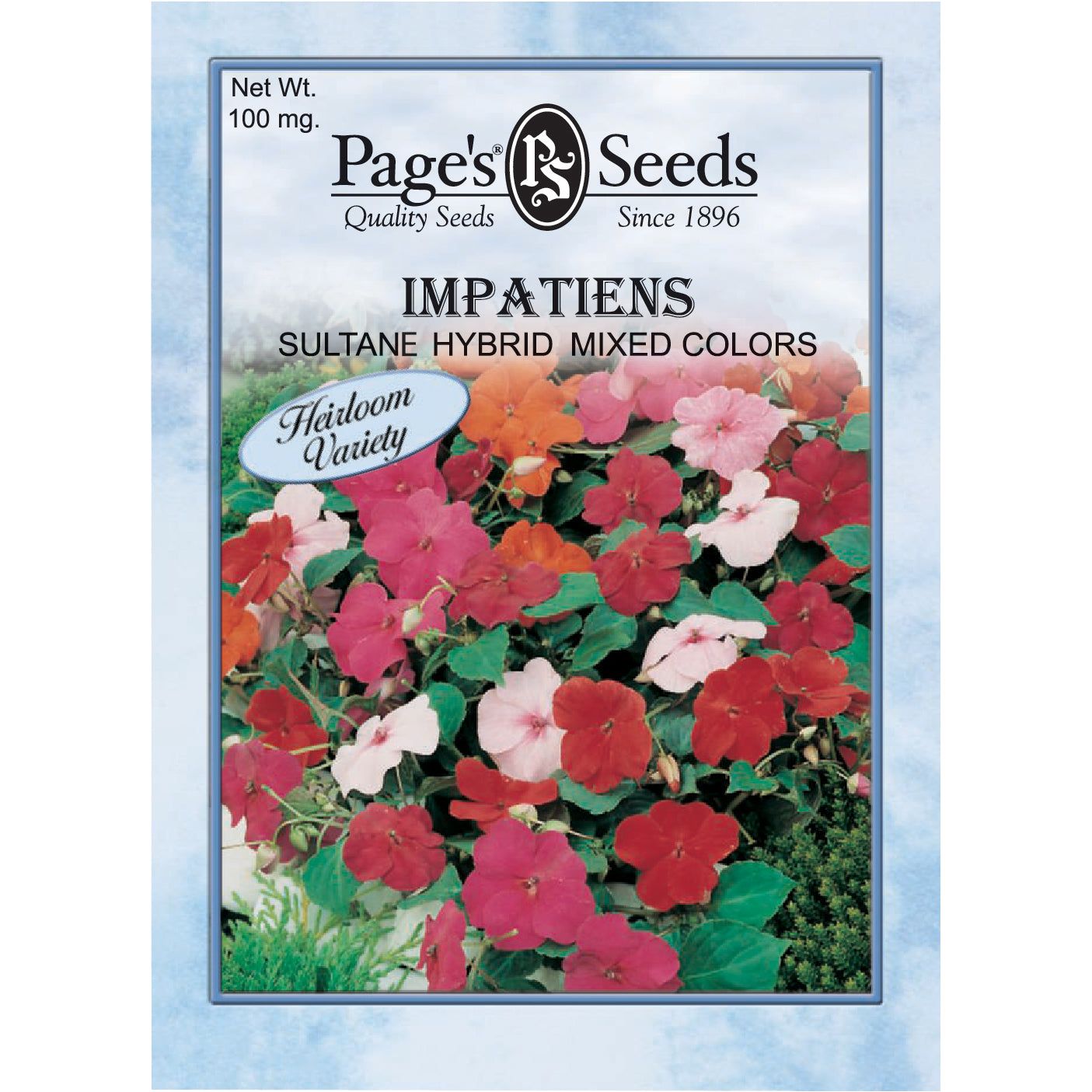 planting impatiens seeds Impatiens Sultane Hybrid Mixed Colors