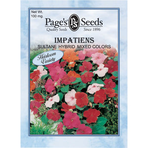 Impatiens Sultane Hybrid Mixed Colors - 1 Packet - Seed World