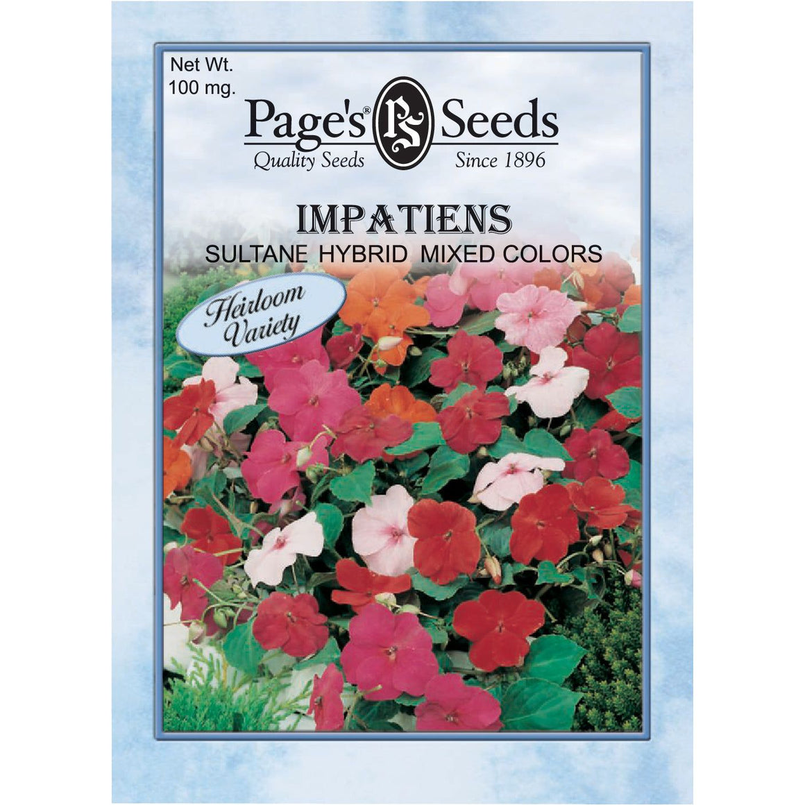 Impatiens Sultane Hybrid Mixed Colors - 1 Packet - Seed World
