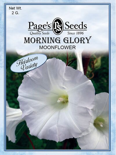 Morning Glory Moonflower Seeds - 1 Packet