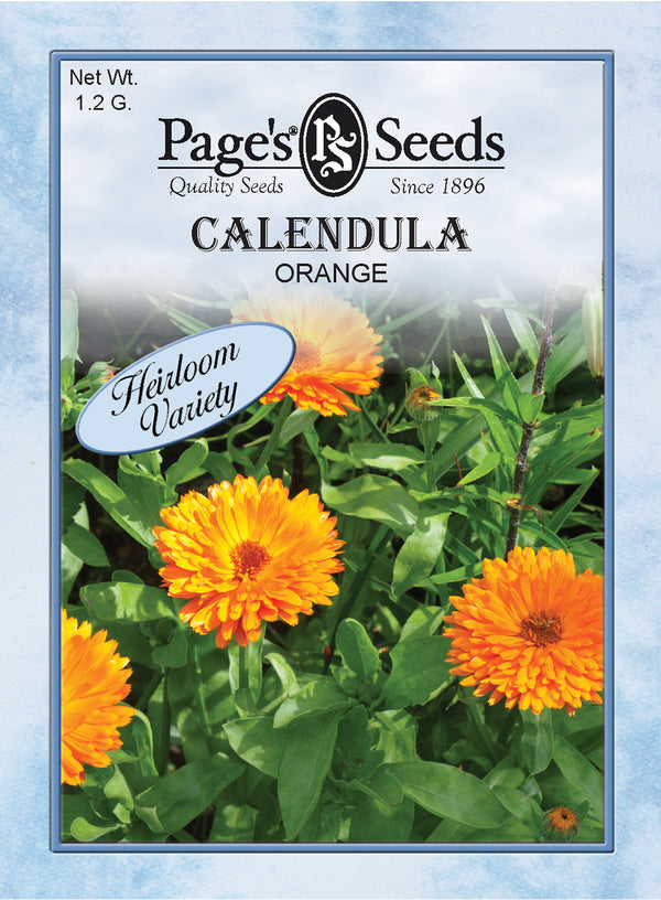 Calendula, Orange Seeds - 1 Packet | Seed World