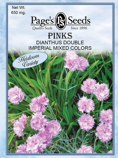 Pinks Dianthus Double Imperial Mixed Colors Heirloom Seed - 1 Packet