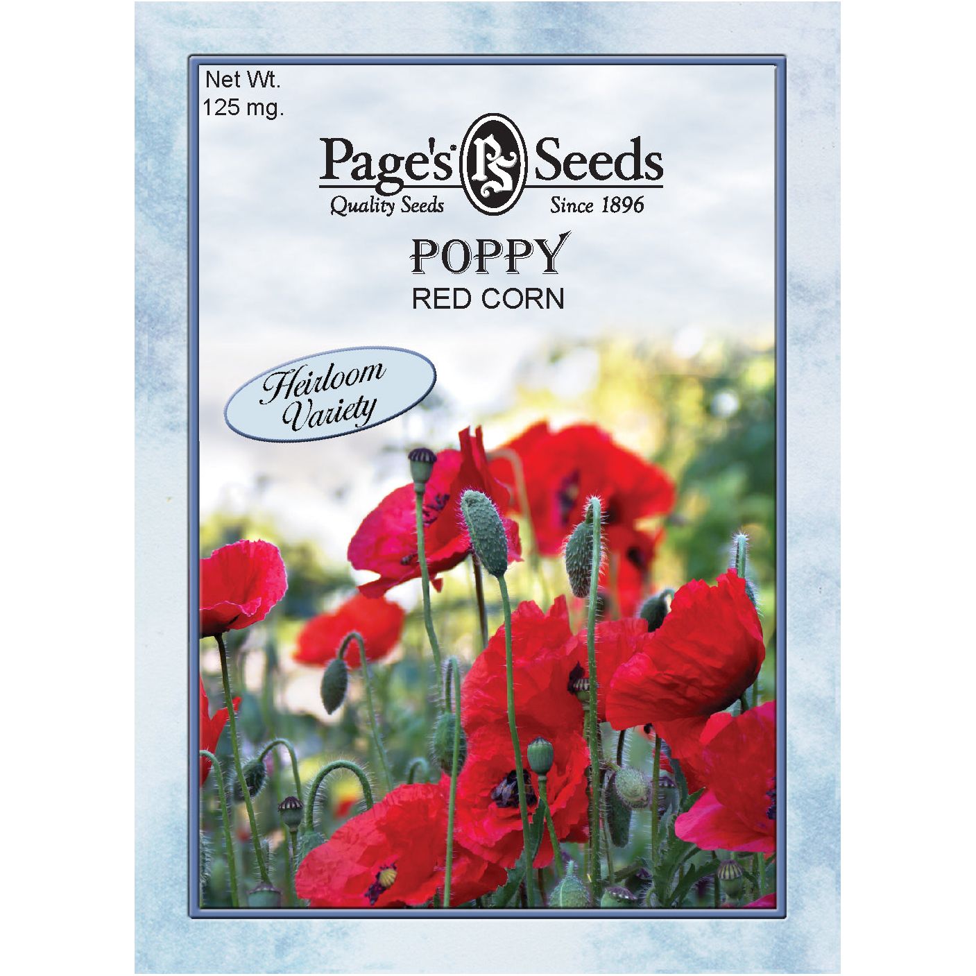 poppy flower seed packets Red Corn Poppy Seeds – Flanders Poppy 1 Packet
