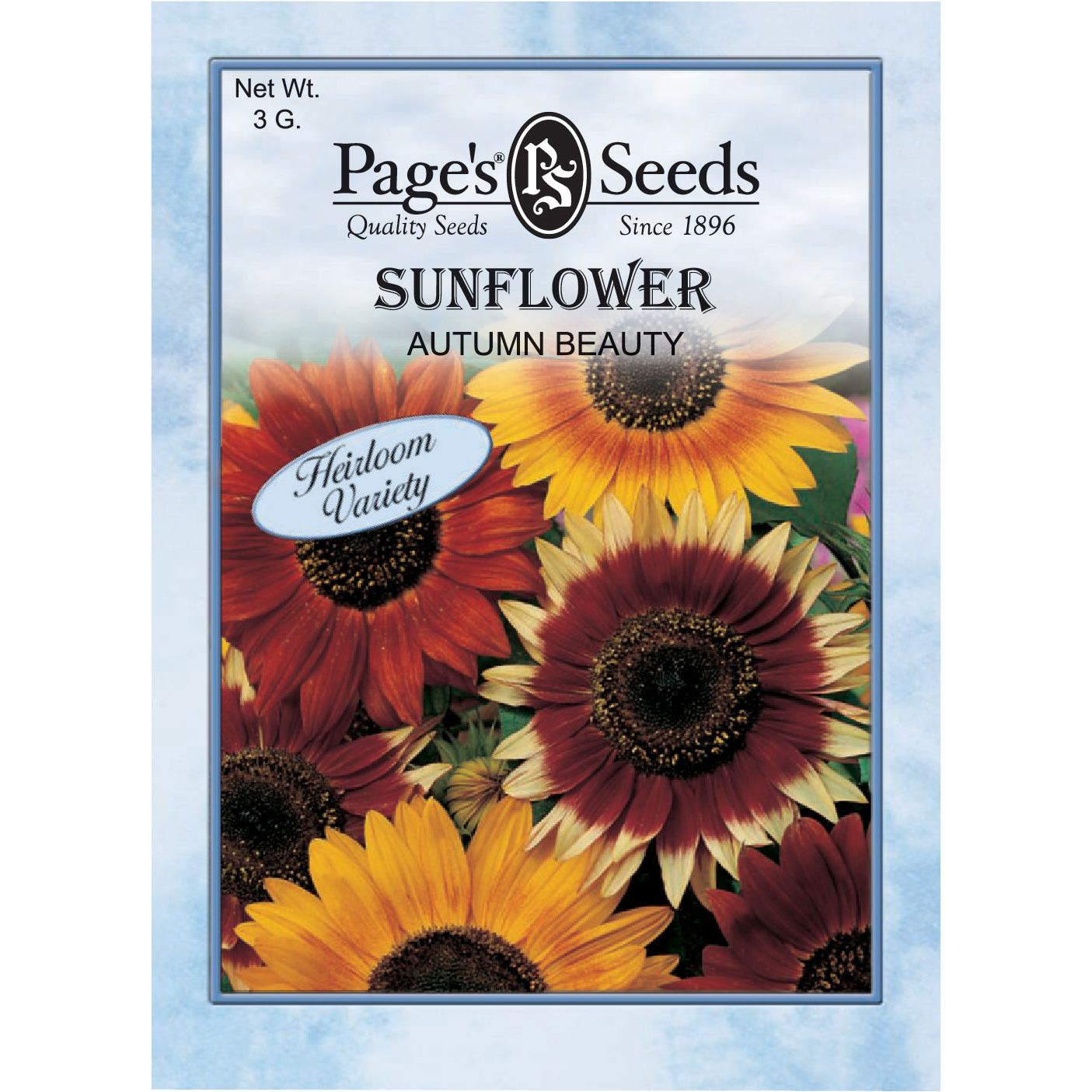 flower seeds with free shipping Sunflower Autumn Beauty Seed