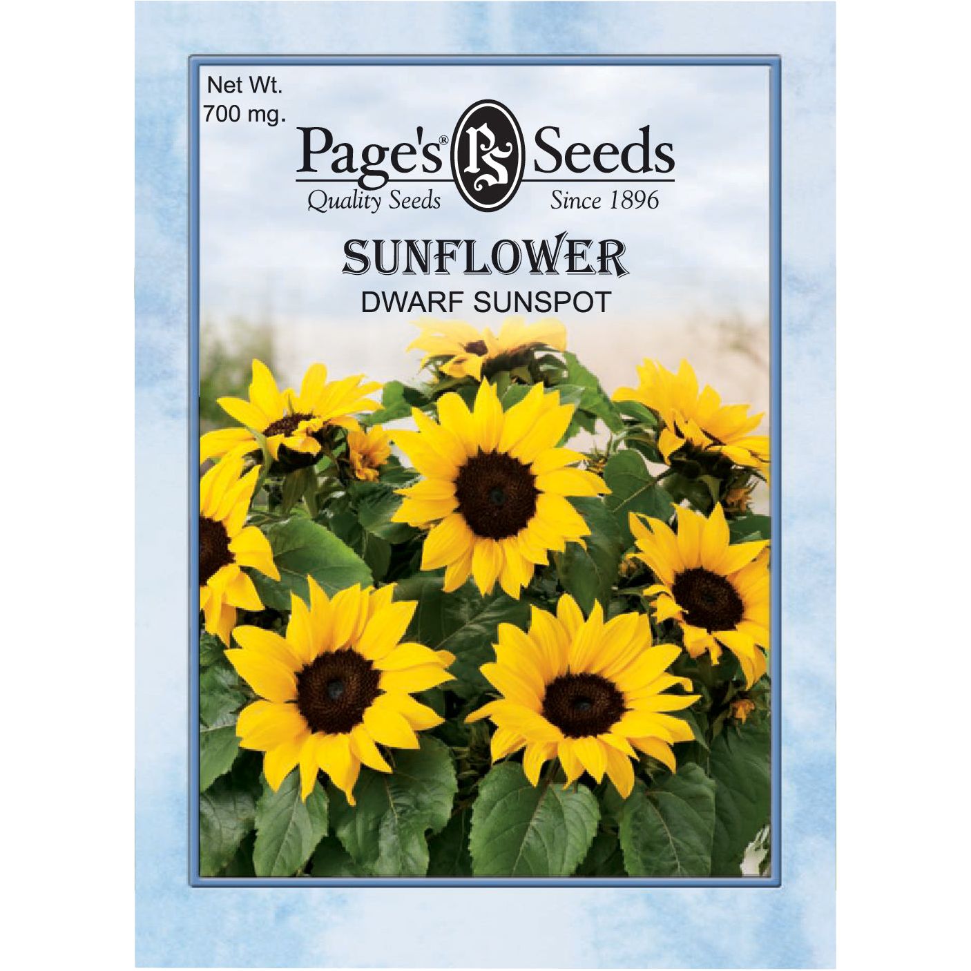 bunnings flower seeds Sunflower Dwarf Sunspot Seed