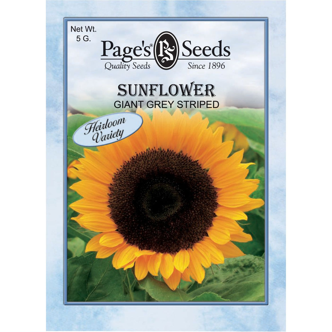 Giant Grey Striped Sunflower Seed - 1 Packet - Seed World