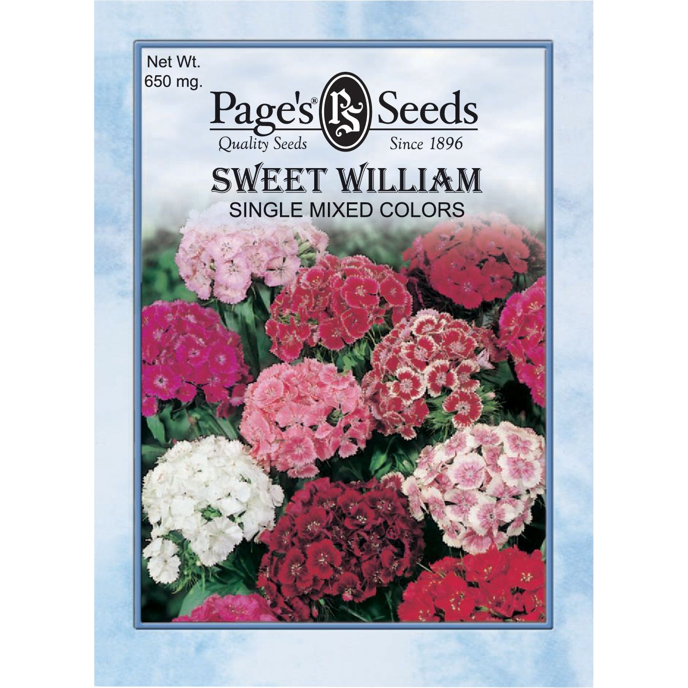 old fashioned flower seeds Sweet William Single Mixed Colors Seed