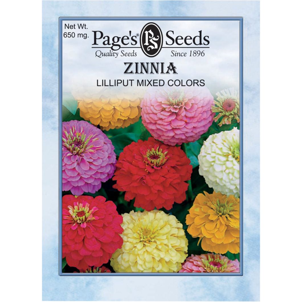where to buy flower seed packets Zinnia Lilliput Mix Seed