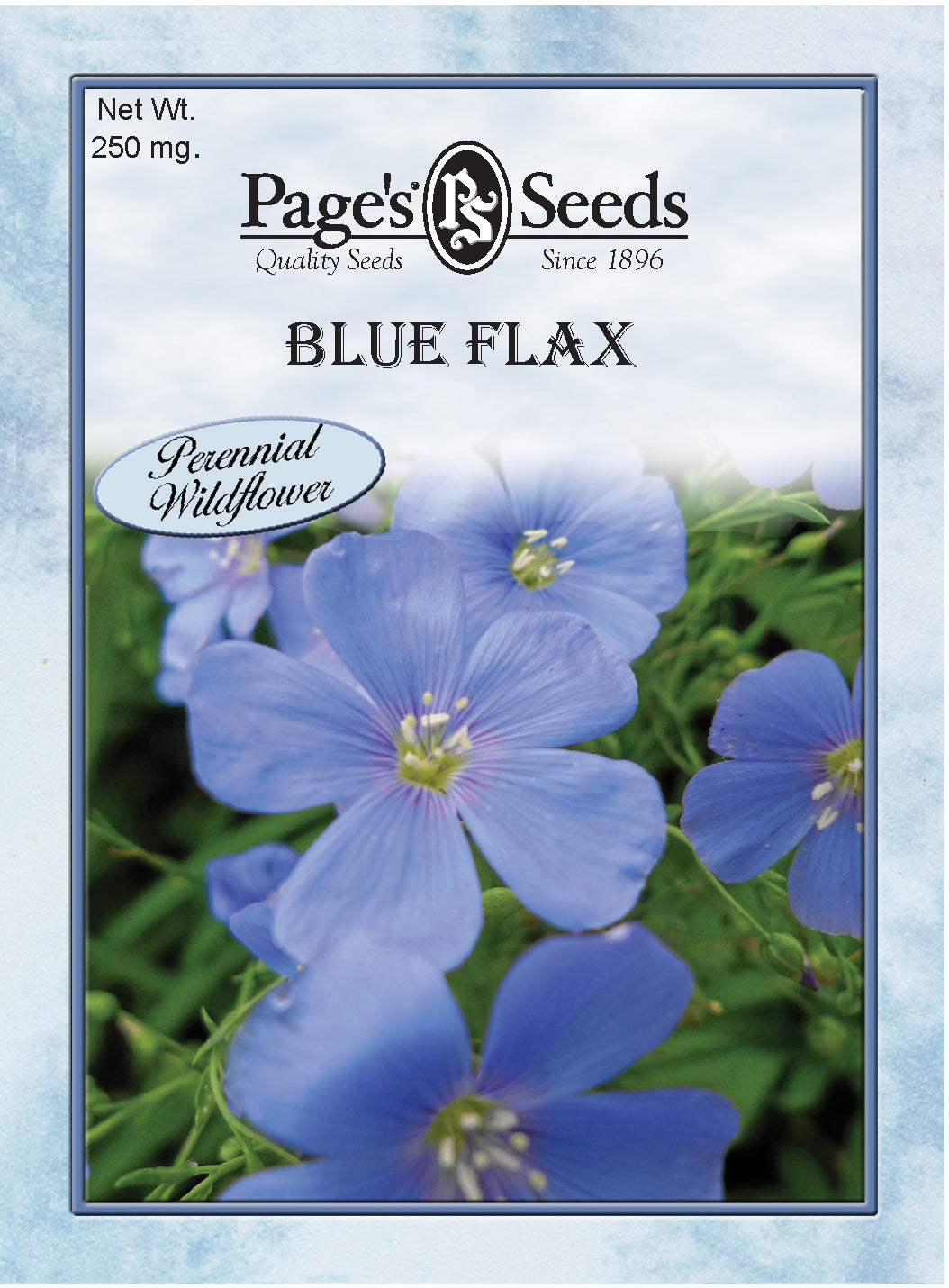 wildflower seeds free shipping Blue Flax Seeds