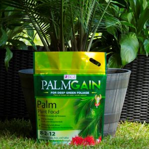 BGI PALMGAIN 8-2-12 Palm Tree Fertilizer - Seed World