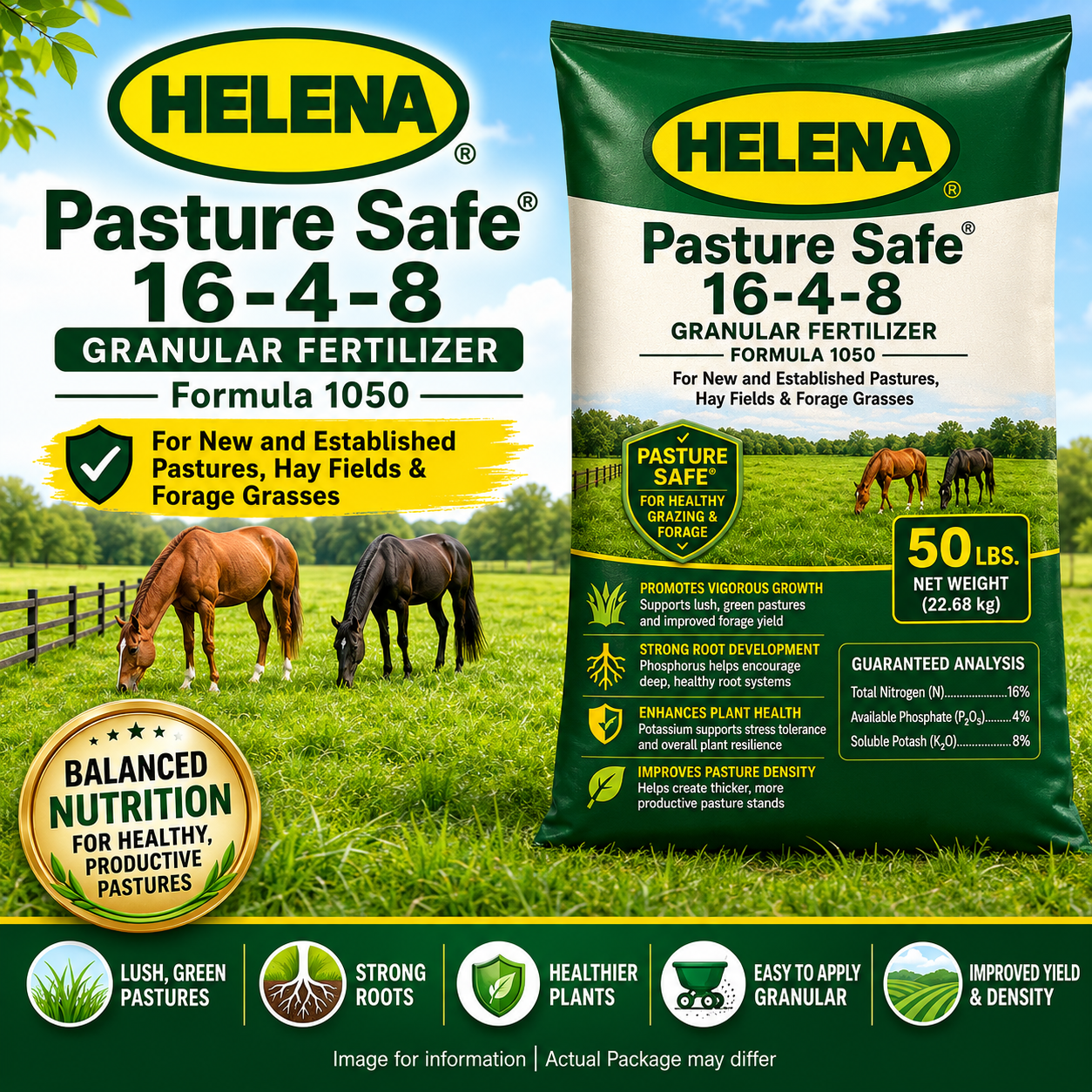 Pasture Safe 16-4-8 Granular Fertilizer - 50 Lbs.