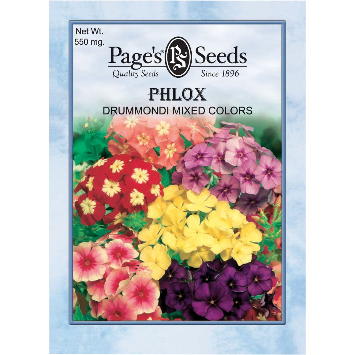 Phlox Drummondi Tall Mix - Packet - Seed World