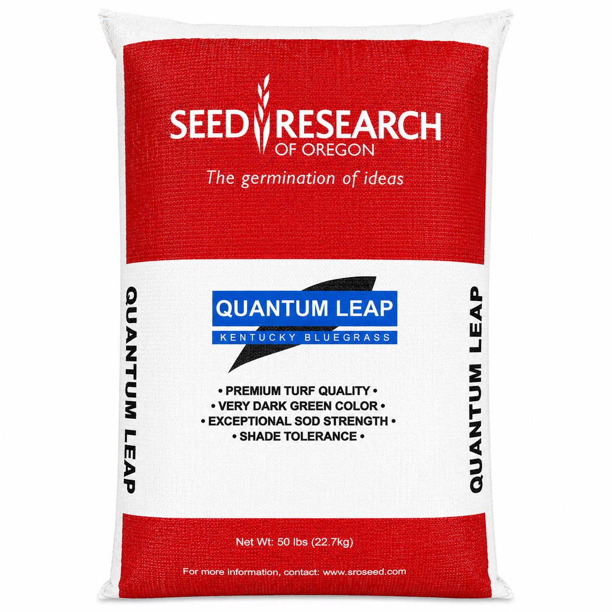 trippen SEED　size39 Quantum Leap (Midnight-type) Kentucky Bluegrass Seed (Certified