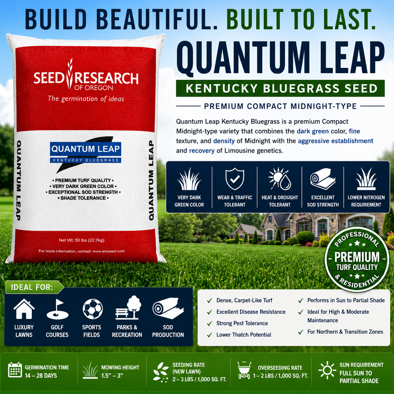 Quantum Leap (Midnight-type) Kentucky Bluegrass Seed (Certified)