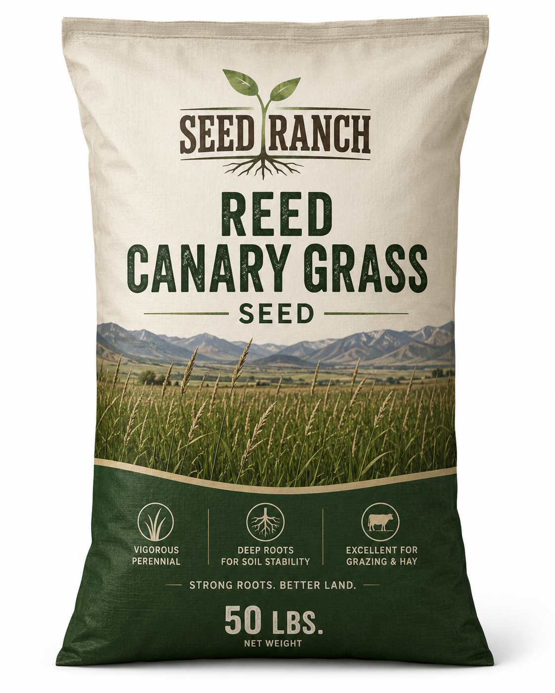 Reed Canary Grass Seed (Raw) - Seed World