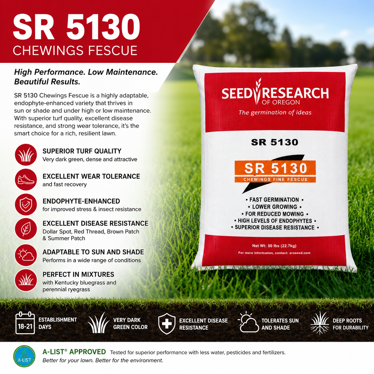 SR 5130 Chewing Fine Fescue Grass Seeds (Certified)
