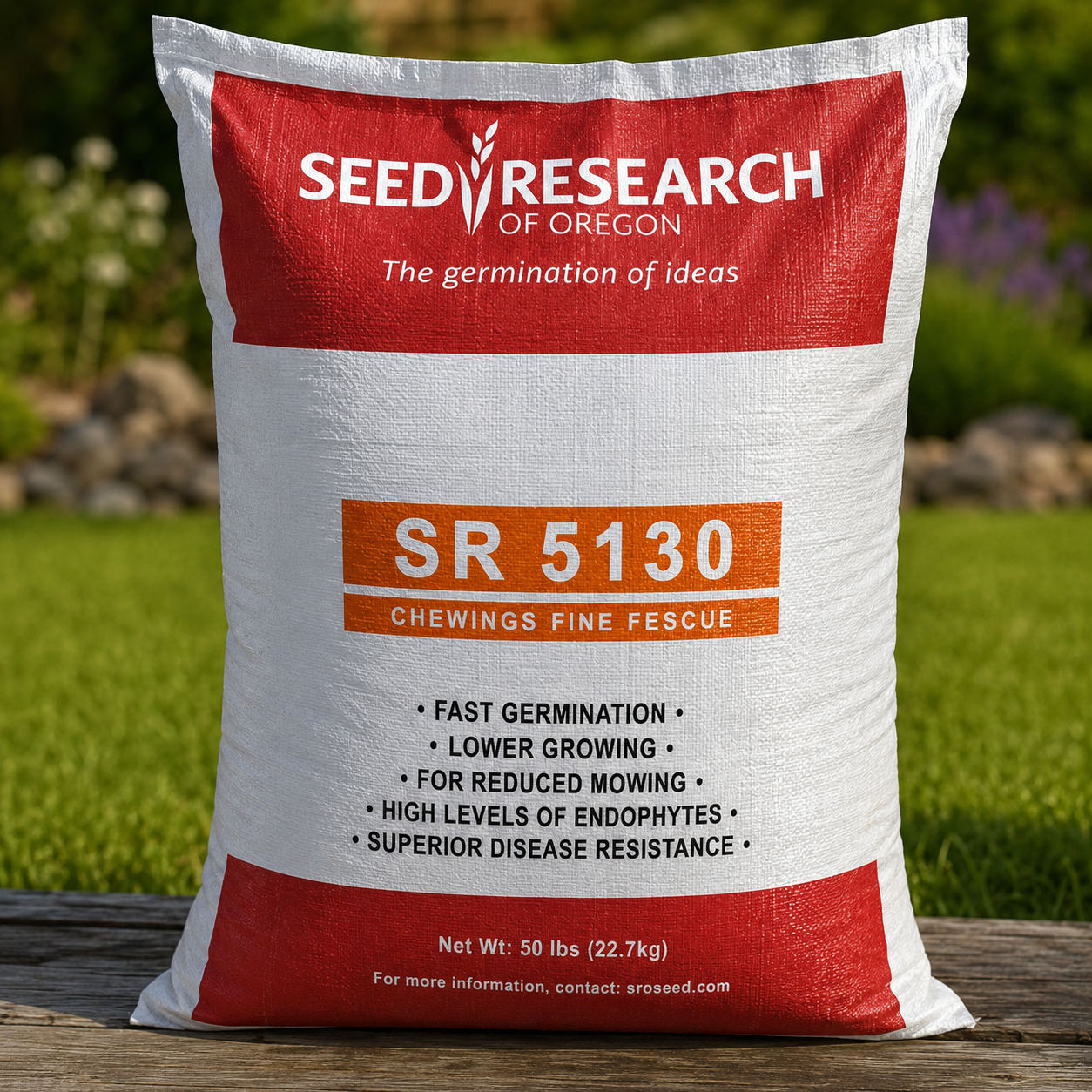 SR 5130 Chewing Fine Fescue Grass Seeds (Certified)
