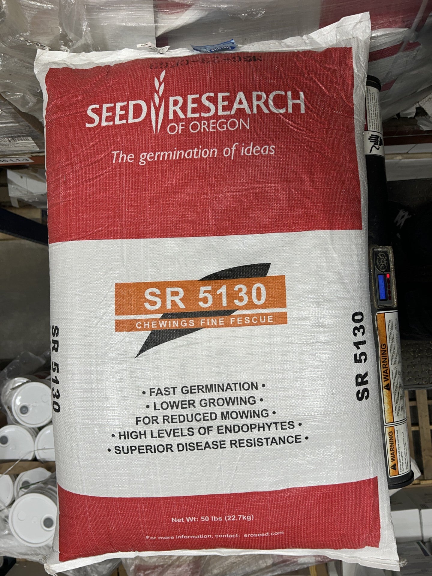 SR 5130 Chewing Fine Fescue Grass Seeds (Certified)