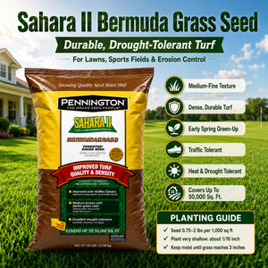 Sahara II Bermuda Grass Seed – Durable, Drought-Tolerant Turf for