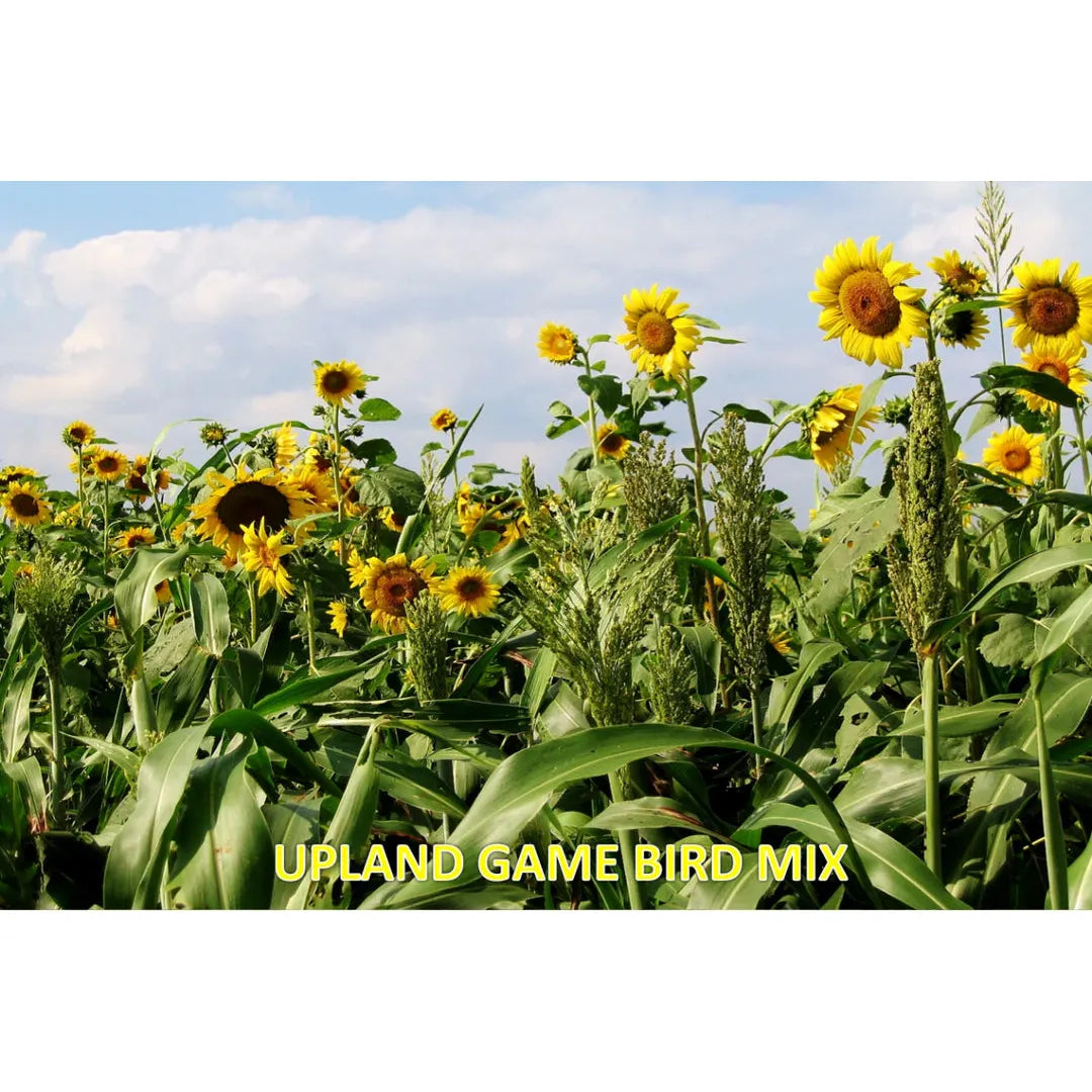 Tecomate Upland Game Bird Mix Seed - 20 lbs. - Seed World