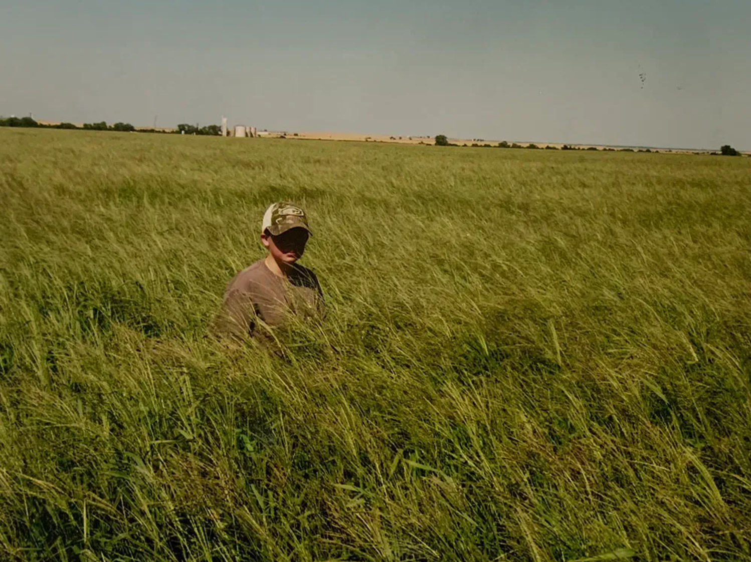 (PRE-ORDER Ships March) Dal's Big River Crabgrass Seed - Seed World