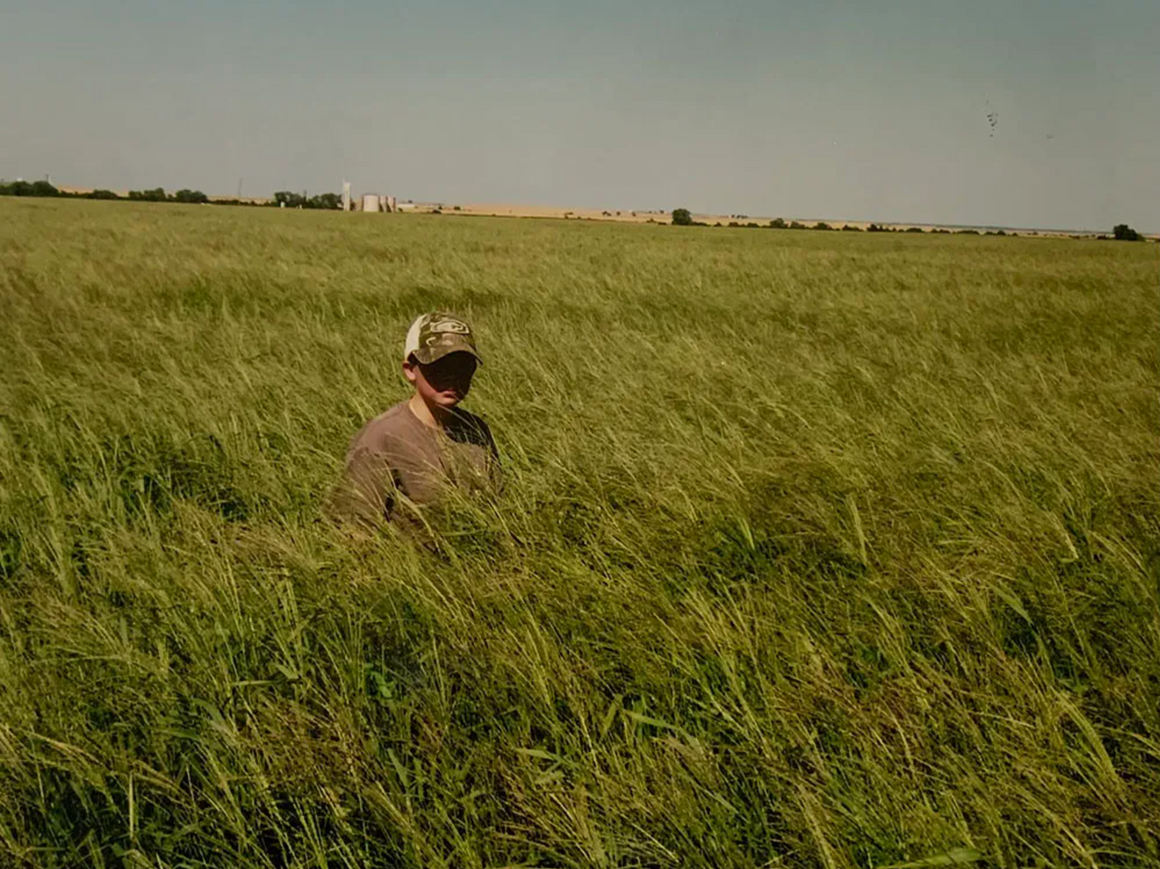 (PRE-ORDER Ships March) Dal's Big River Crabgrass Seed - Seed World