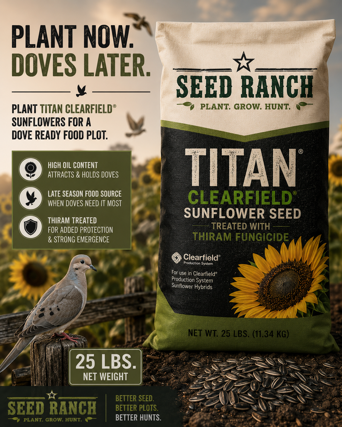 planting sunflower seeds for doves Titan Clearfield Sunflower Seeds