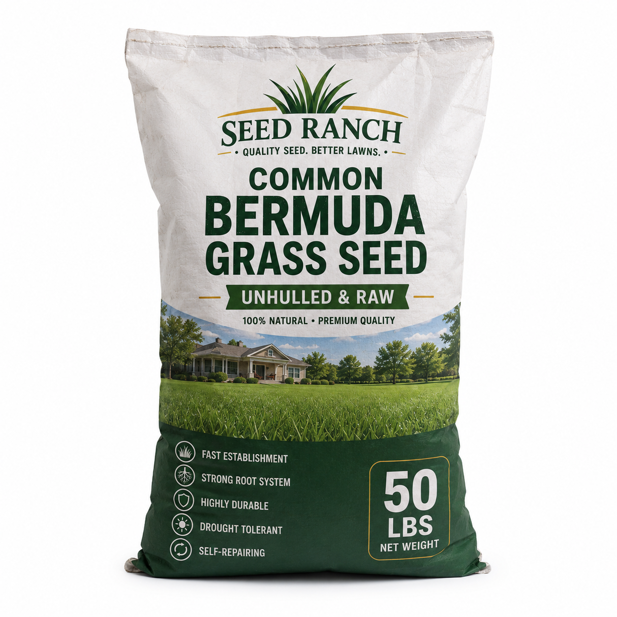 Common Bermuda Grass Seed (Unhulled & Raw)