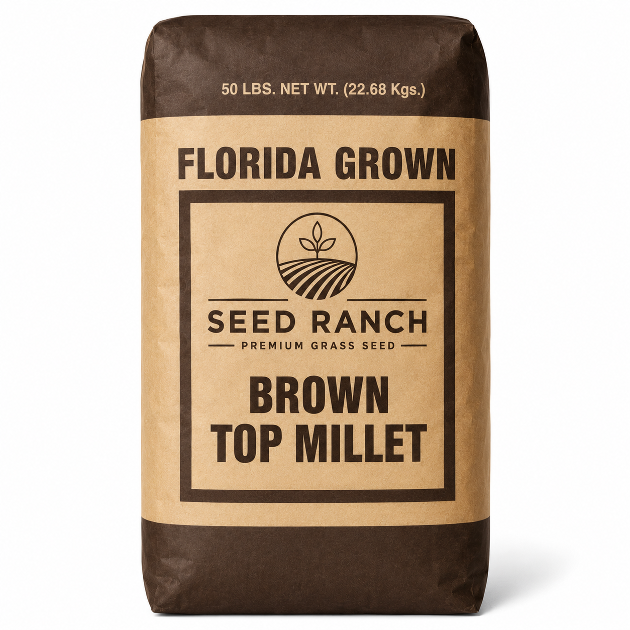 Brown Top Millet Seeds - Seed World