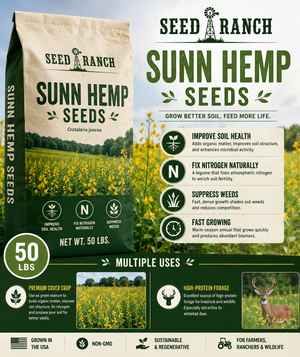 where to buy hemp seeds for planting Seed Ranch Sunn Hemp Raw Seeds