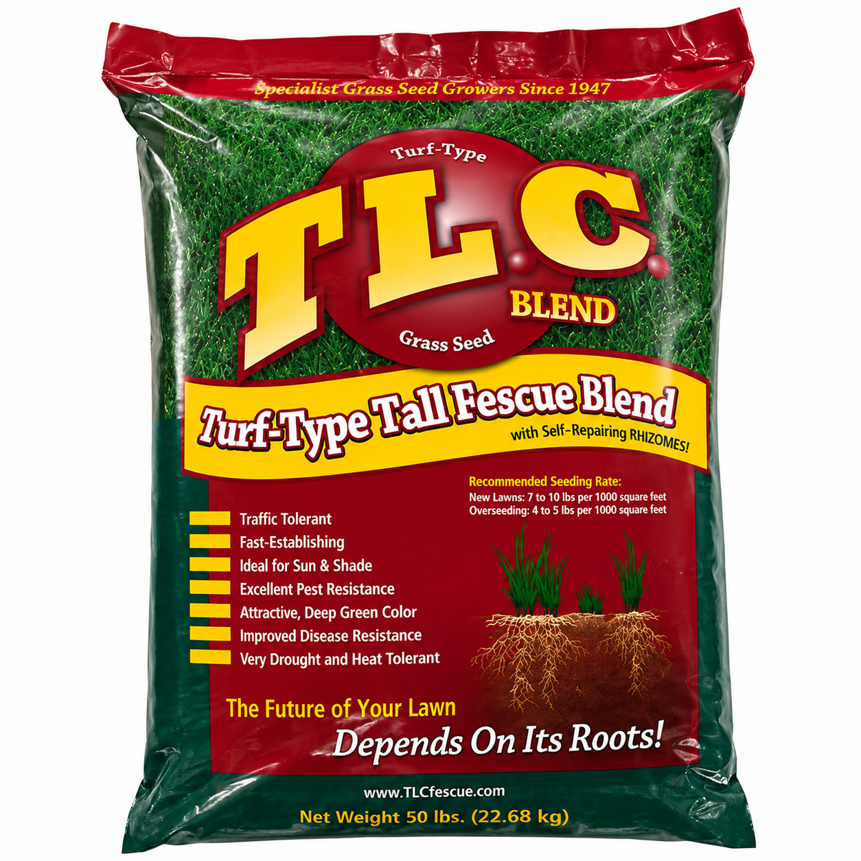 TLC Tall Fescue Grass Seed Blend