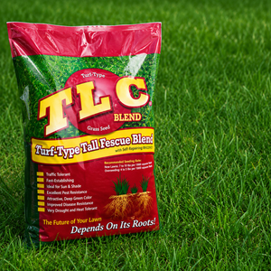 till and plant grass seed TLC Tall Fescue Grass Seed Blend– Seed World