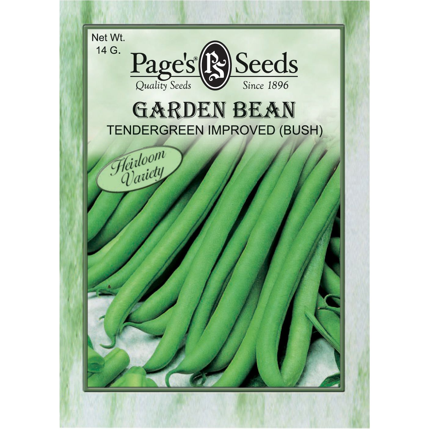 garden beans seeds Page's Seeds Tendergreen Improved Bush Garden Bean Seed Packet Each