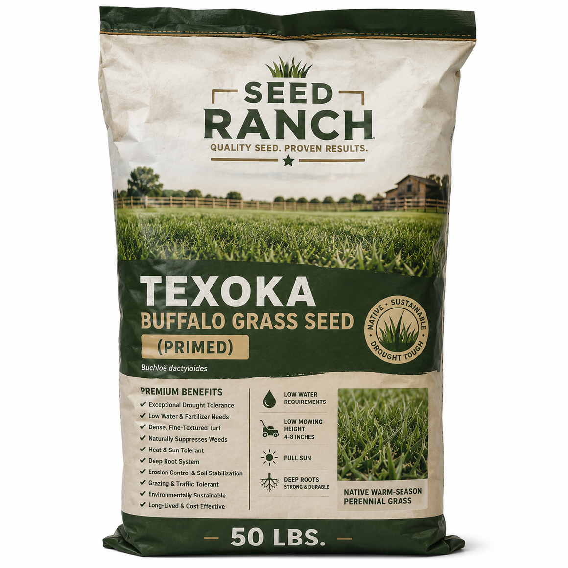 Texoka Buffalo Grass Seed (Primed)