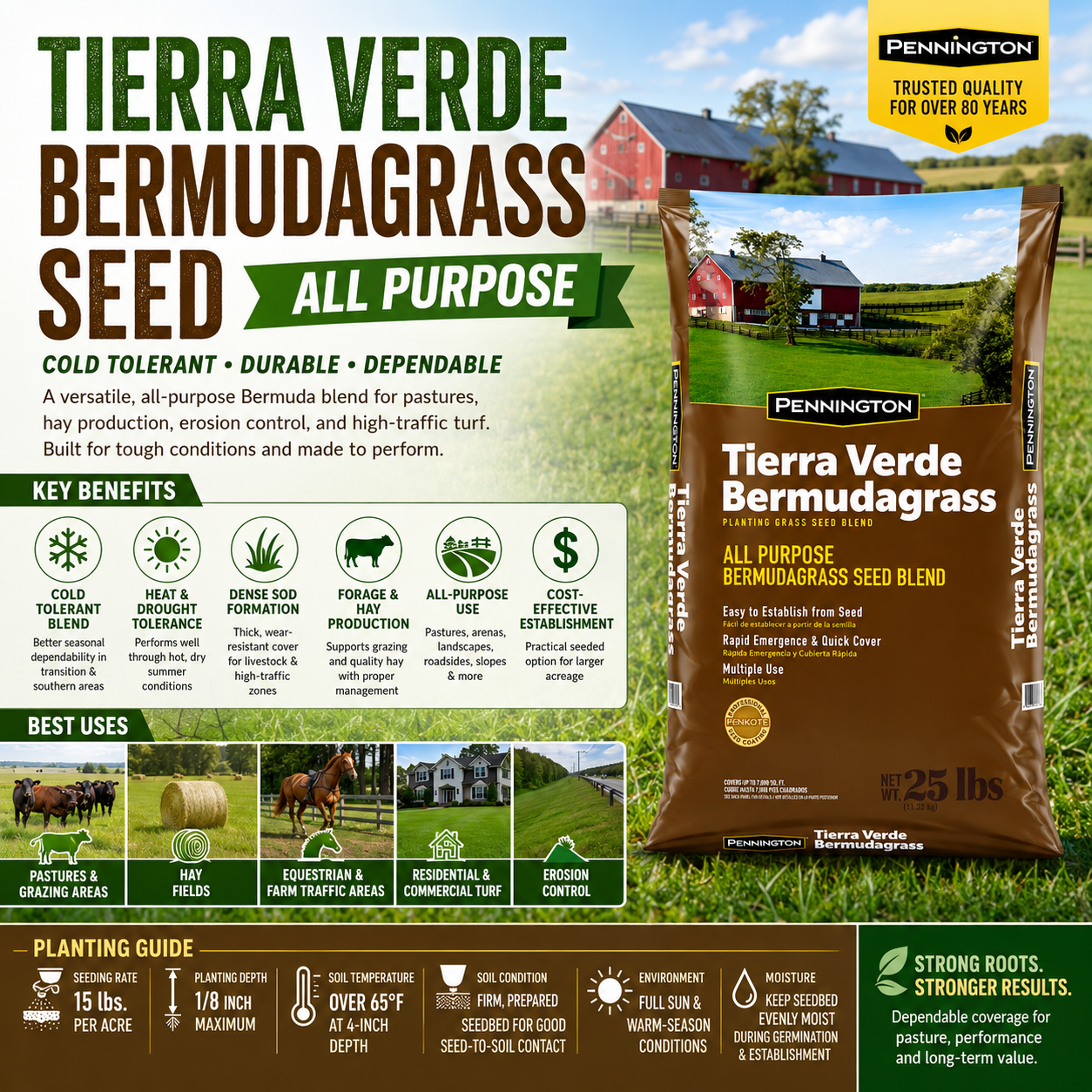 Tierra Verde All Purpose Bermuda Grass Seed (Cold Tolerant)