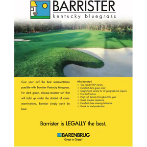 Barrister Midnight-Type Kentucky Bluegrass Seed - Seed World