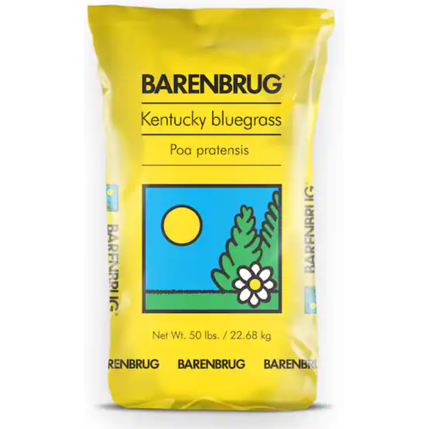 Barrister Midnight-Type Kentucky Bluegrass Seed - Seed World