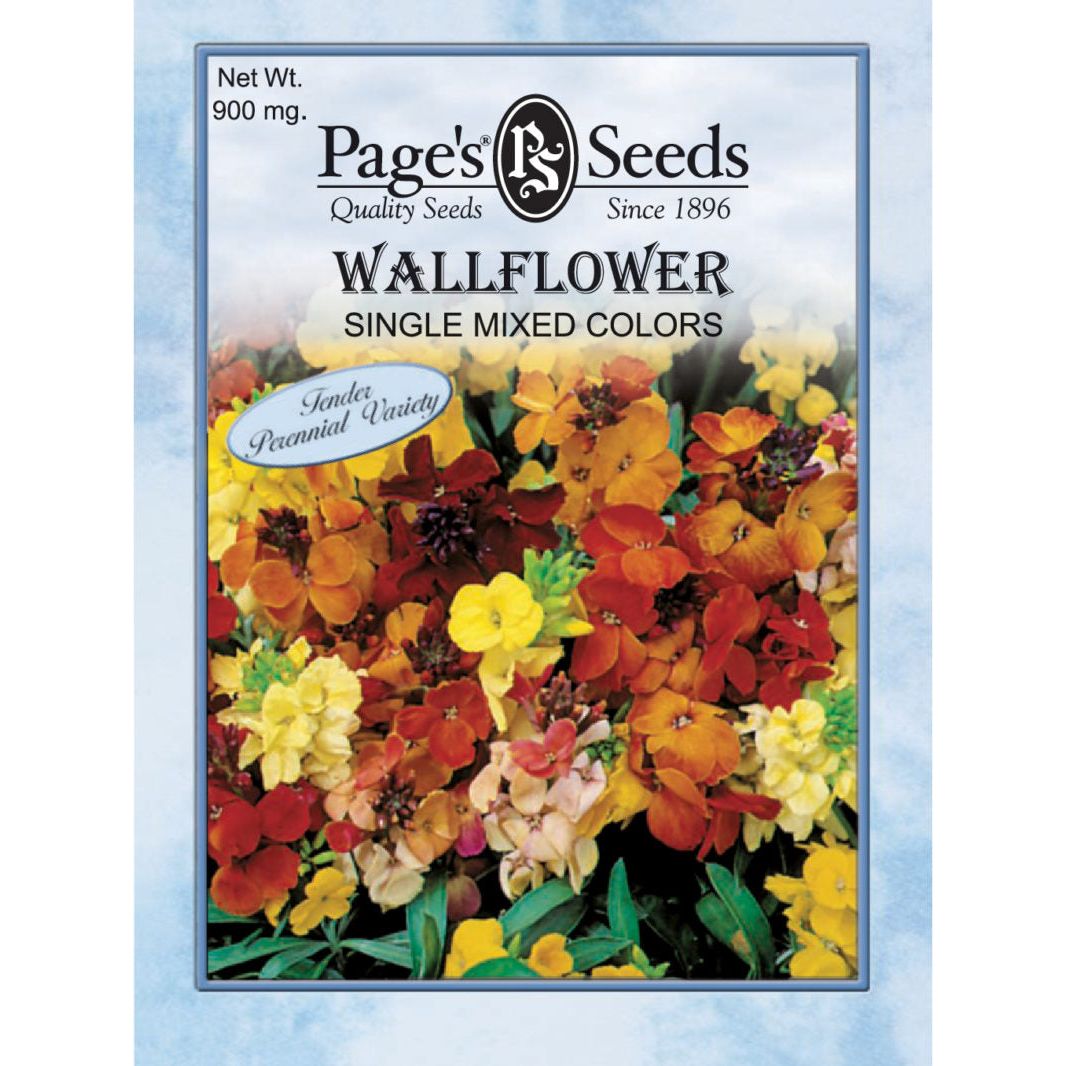 Wallflower Single Mixed Colors Seed - 1 Packet