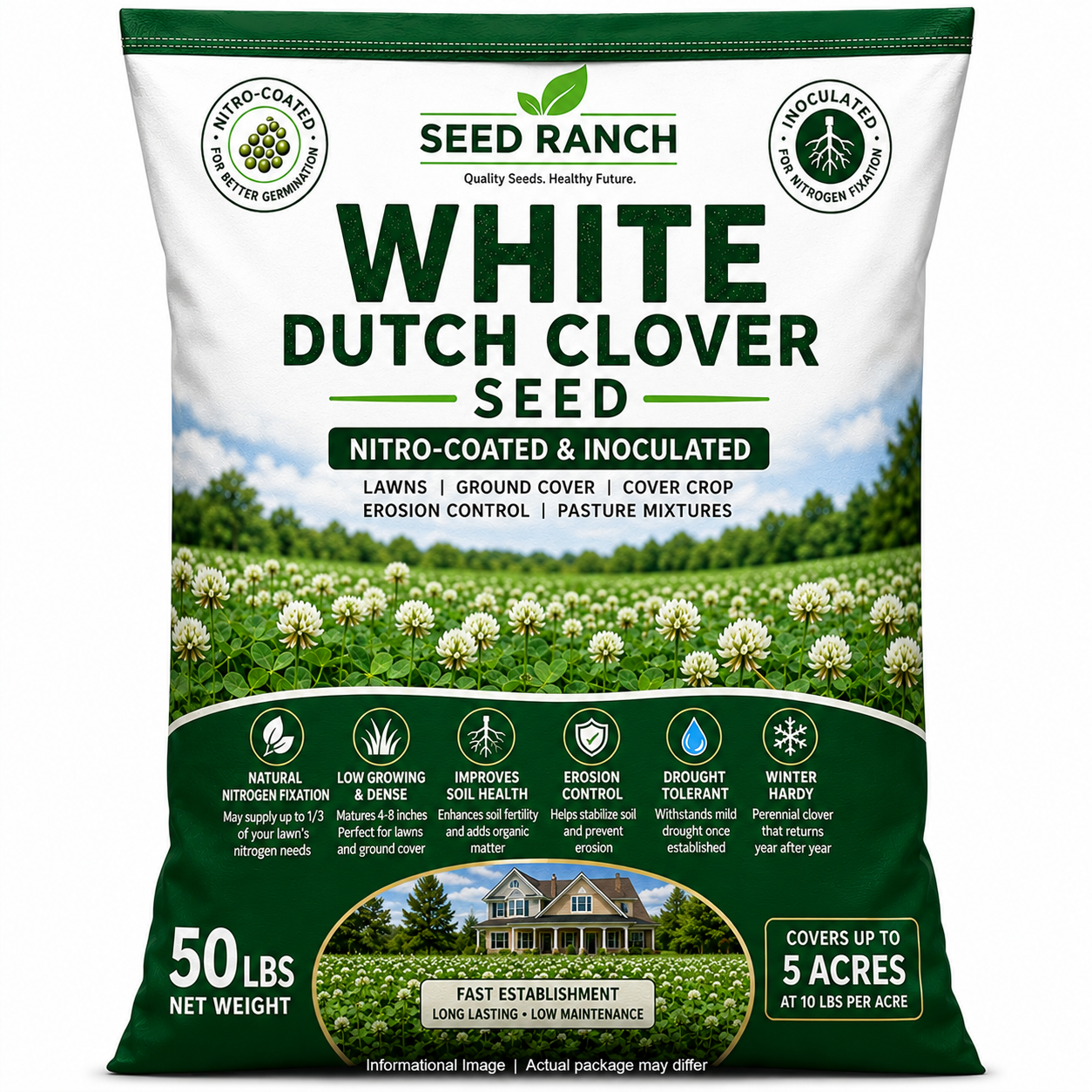 planting white dutch clover seed White Dutch Clover Seed Nitro Coated & Inoculated- 5 Lbs