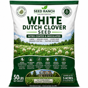 white plant fertilizer White Dutch Clover Seed Nitro Coated & Inoculated- 5 Lbs