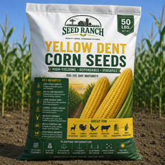 Yellow Dent Corn Seeds– Seed World