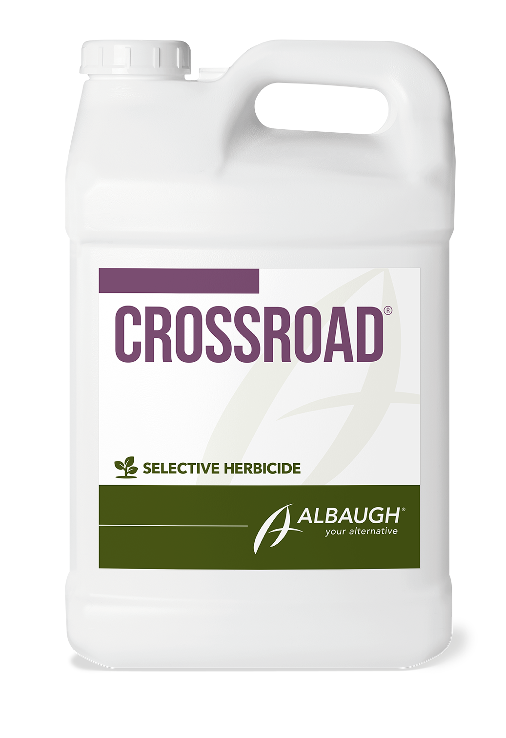 Albaugh Crossroad - Seed World